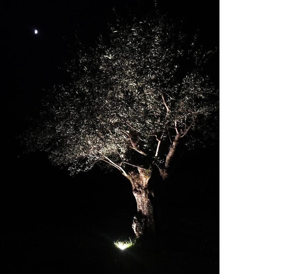 B&B Gli Ulivi Carlazzo Bagian luar foto